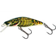 Bullhead 6