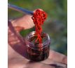 Haldorado Bloodworm