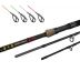 Delphin RIVER Trophy NXT X-TREME + 4 špičky 4m/250g
