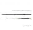 Delphin RIVER Trophy NXT X-TREME + 4 špičky 4m/250g