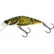 Bullhead 6 Bullhead