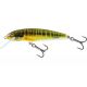 Minnow 7 HoloReal