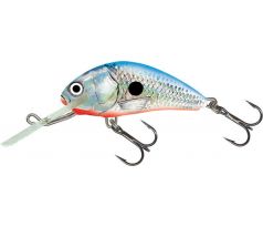 Hornet 4 SilverBlueShad