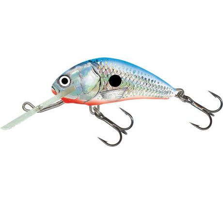 Hornet 4 SilverBlueShad
