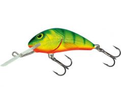 Hornet 4S HotPerch