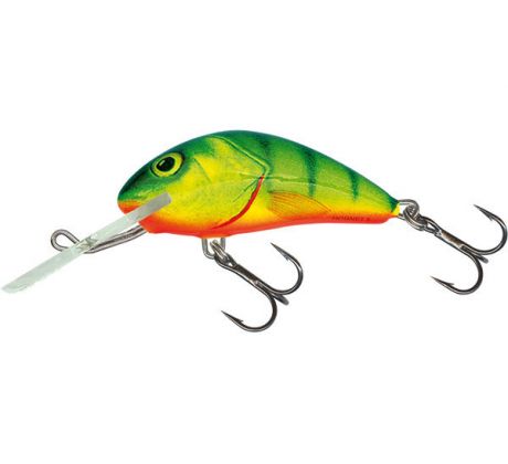 Hornet 4S HotPerch