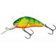 Hornet 5 HotPerch