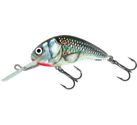 Hornet 5 HoloGreyShiner