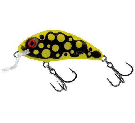 Rattlin´Hornet 4,5 SR BrightBeetle