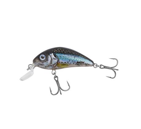 Rattlin´Hornet 4,5 SR ClearHoloSmelt