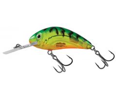 Rattlin´Hornet 4,5 ClearHotTiger
