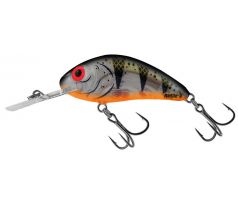 Rattlin´Hornet 4,5 ClearYoungPerch
