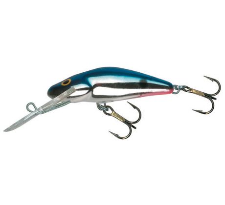 Bullhead 6SD RedTailShiner