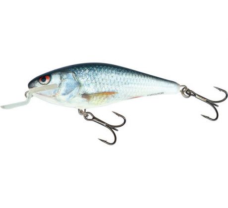 Executor 5 SR Real Dace