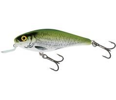 Executor 7 SR Olive Bleak