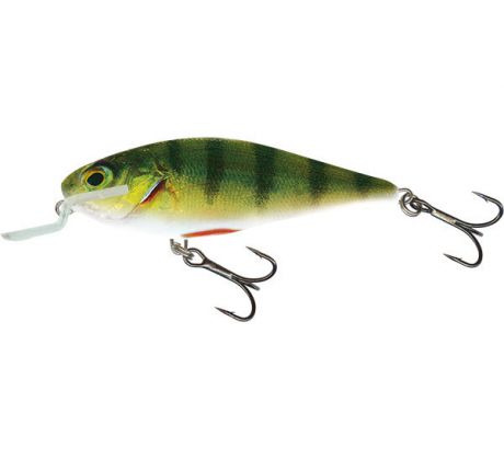 Executor 9 SR RealPerch