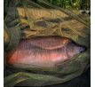 Podberáková hlava 1m x 1m