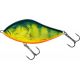 Slider 5 Real Hot Perch