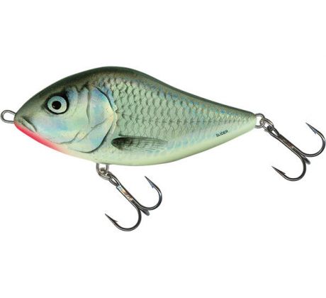 Slider 10 Holo Grey Shiner