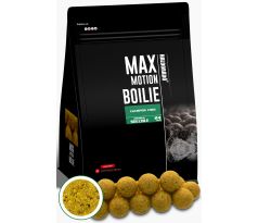 HALDORÁDÓ MAX MOTION Boilie Premium Soluble 24 mm - Champion Corn