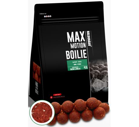 HALDORÁDÓ MAX MOTION Boilie Premium Soluble 24 mm - Big Fish