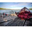 Stég Boilies Rozpustné 24mm - Jahoda