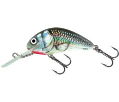 Hornet 6 Holo Grey Shiner