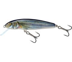 Minnow 7 Spirlin