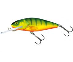 Perch 8DR Hot Perch