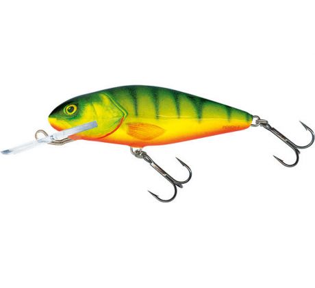 Perch 8DR Hot Perch