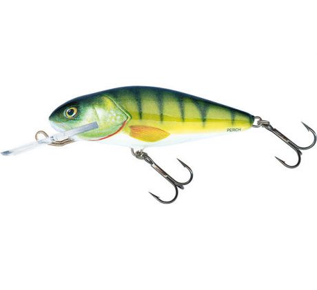 Perch 8DR Perch
