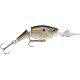 Jointed Shad Rap JSR-05 SD