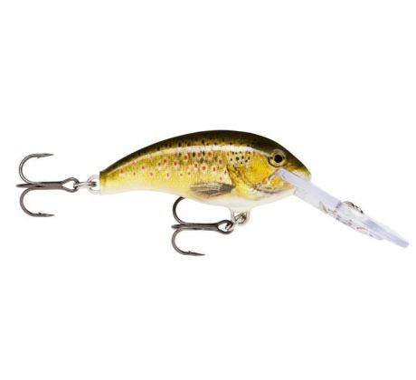 Shad Dancer 04 TRL