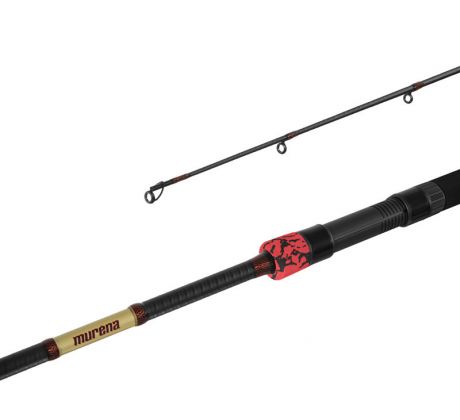 Delphin MURENA POWER 2,7m 125g
