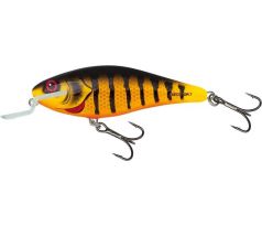 Executor 5 SR Natural Perch QEX161