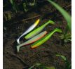 Flat Minnow shad 18cm 2ks/bal. (Flash Lemonade)