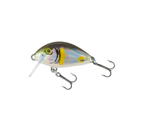 Tiny 3 Smelt Sinking