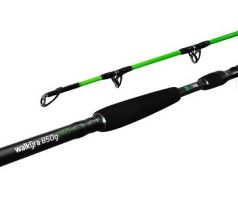 Delphin WALKYRA 3 m 850 g